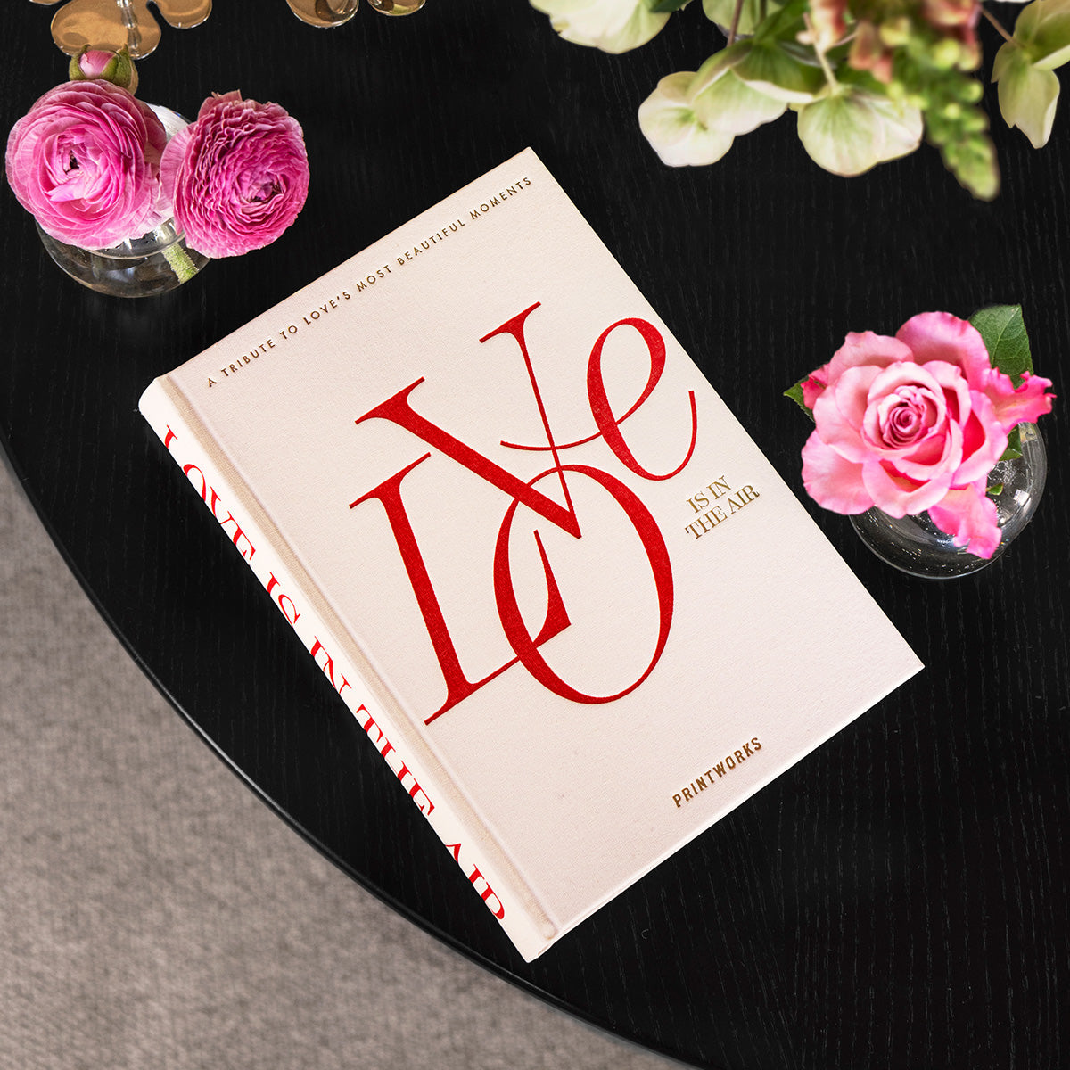 Photo Album- Baby It's a Wild World