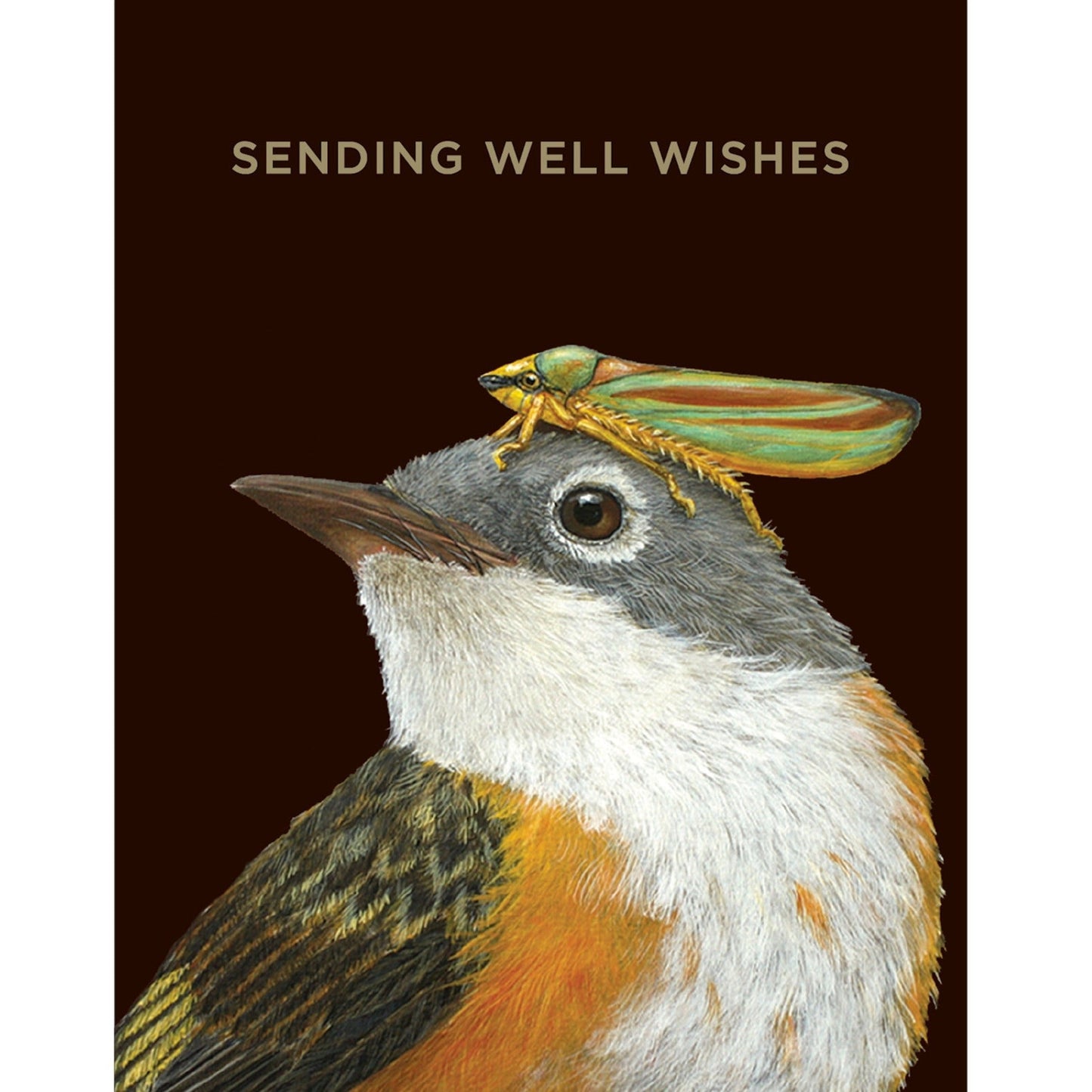 Well Wishes Warbler Card
