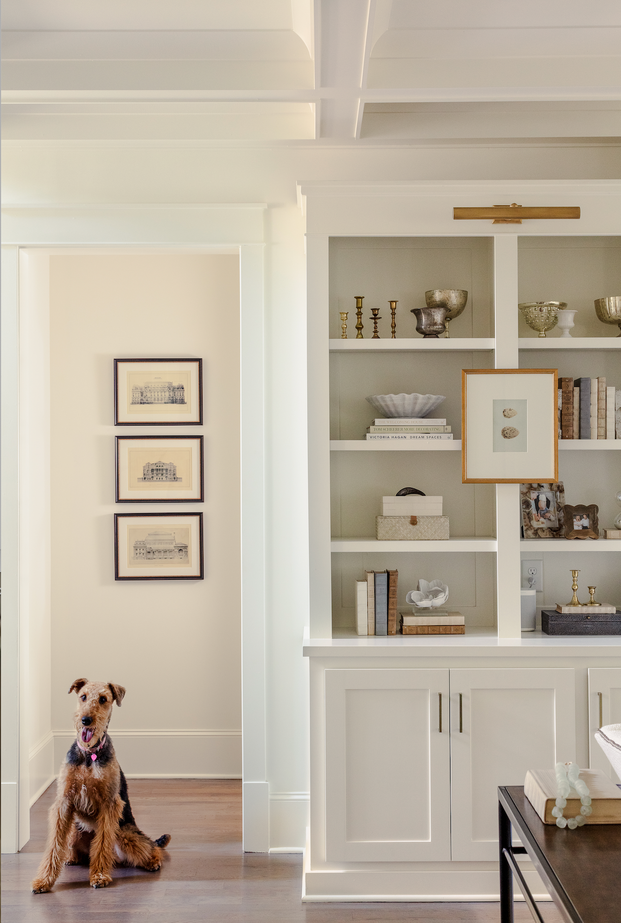 Asili Bone Box with Horn Medium