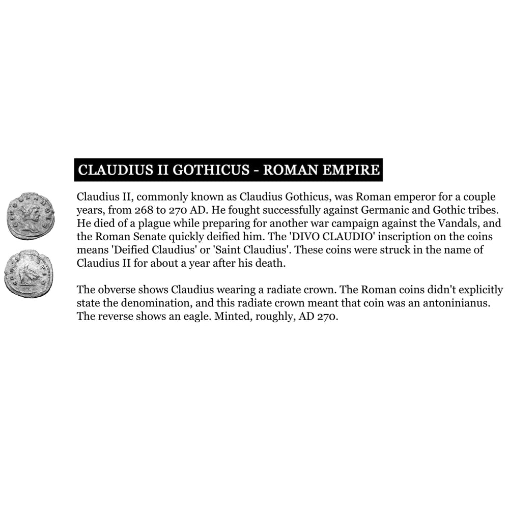 Gold Frame, Bale & Chain/ VS Coin/ BD pave Necklace