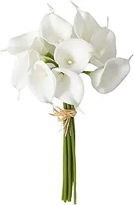 Calla Lilly - Small