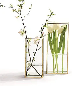 Small Square Vase with Gold Metal Trim