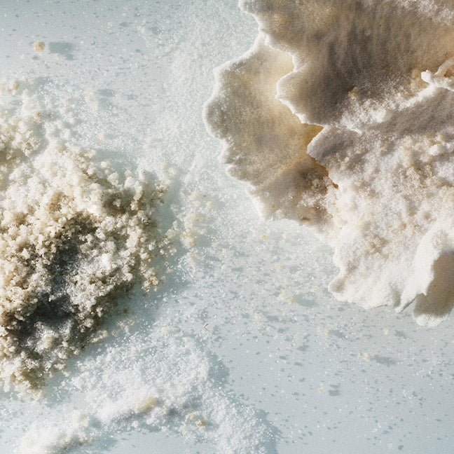 NEST Ocean Mist & Sea Salt Liquid Soap