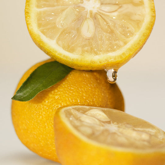 NEST Sunlit Yuzu and Neroli Votive