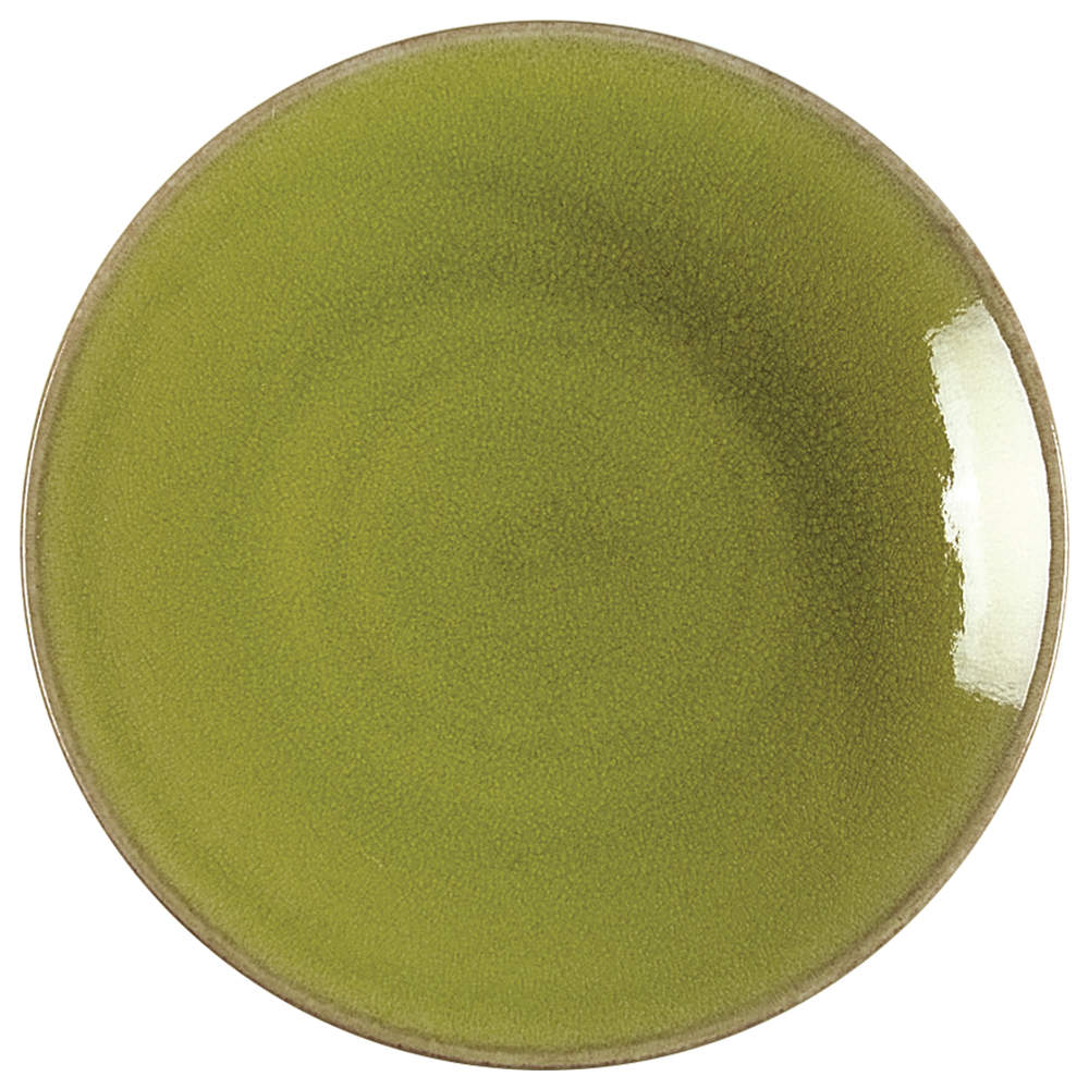 Tourron Avocado Green Dinner Plate