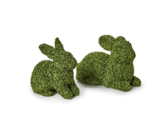Preserved Natural Buckwheat Husk Bunnies-L