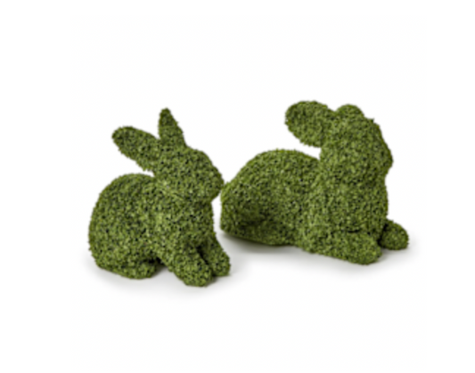 Preserved Natural Buckwheat Husk Bunnies-L