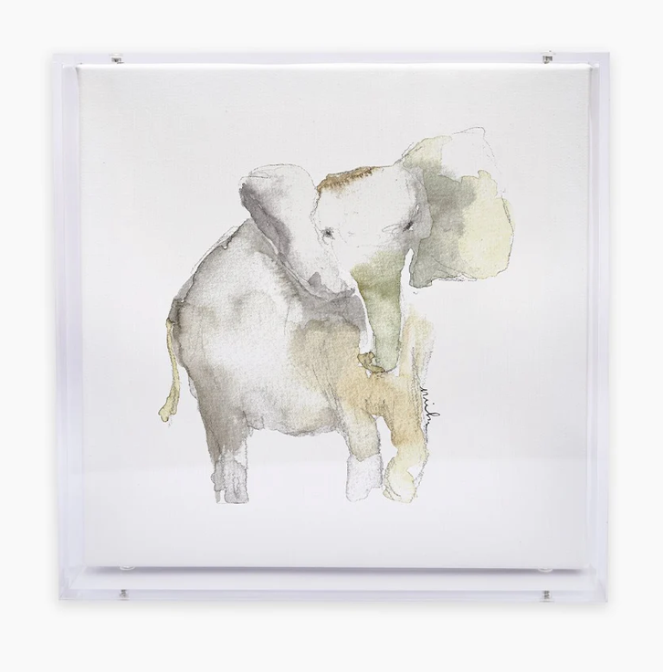 Animal Acrylic Shadow Box Canvas