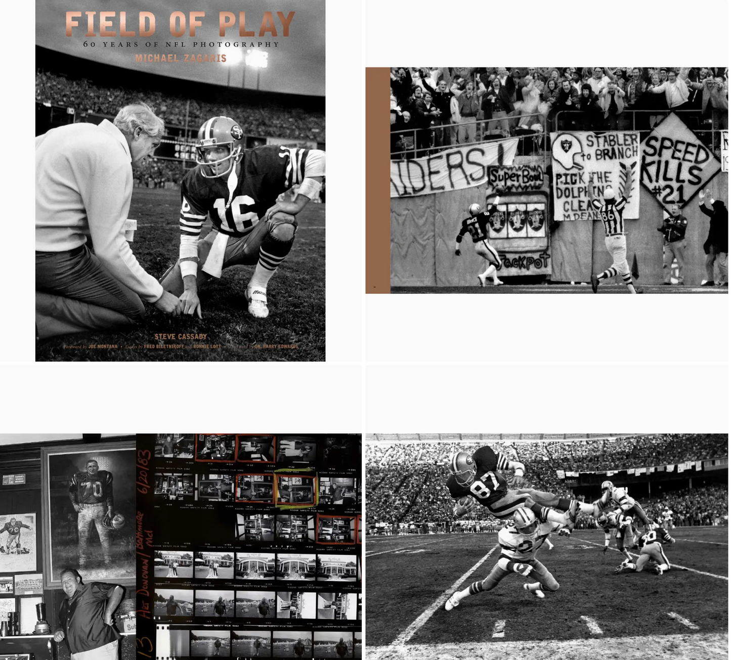 Field of Play