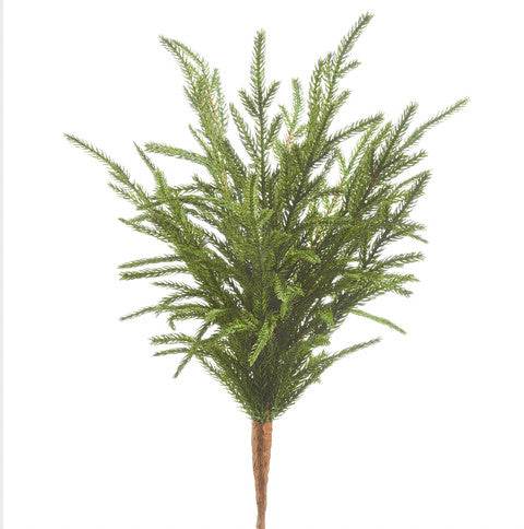 18" Soft Touch Norfolk Pine Pick