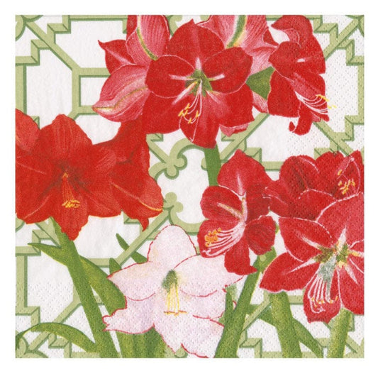 Amaryllis Conservatory Cocktail Napkins