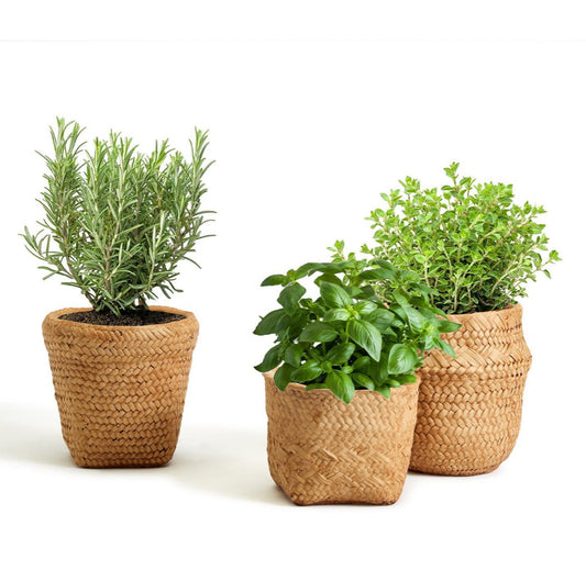 Basket Pattern Planter with Drainage Hole Asst 3 Designs
