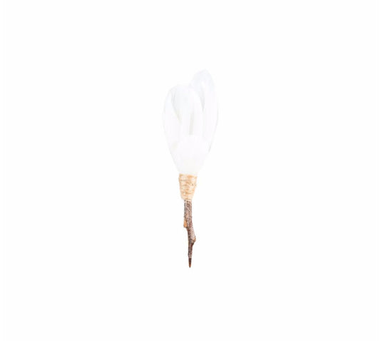 Brackish Beckham Plum Thicket Pin
