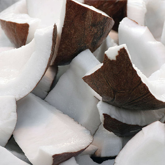 Coconut & Palm Pura Smart Home Diffuser Refill