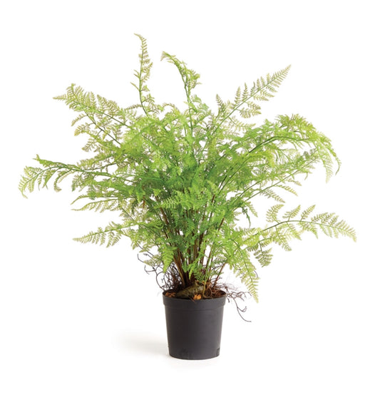 36"Soft Fern Drop-In