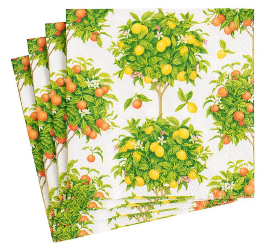 Citrus Topiaries White