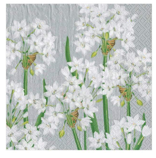 Paperwhites Silver