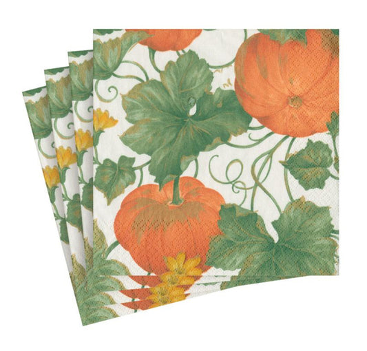Heirloom Pumpkins Cocktail Napkins